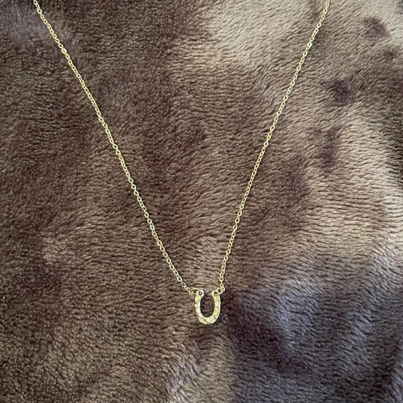 - 🌟HOST PICK🌟New Stainless Steel Horseshoe Necklace - Picture 8 of 9